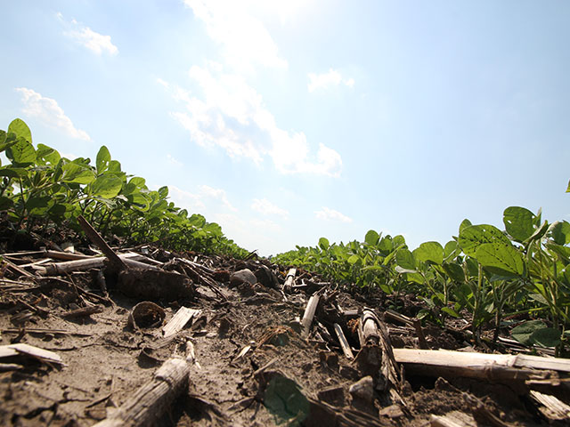 How did your soybeans fare this year? Do they need a little fertility boost in the future?