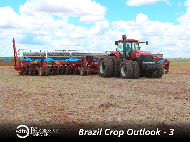 Brazilian summer corn area is expected to decline around 2% to approximately 14.5 million acres when planting begins in September as farmers switch to cheaper soybeans. (Photo courtesy of Rabo Agrifinance)