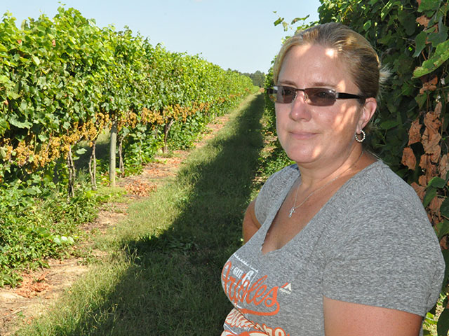 Jennie Schmidt stands in her farm&#039;s 22-acre vineyard in eastern Maryland. The Schmidts have one of the largest vineyards in Maryland, though the farm sells all of its grapes to Maryland wine producers. (DTN photo by Chris Clayton)