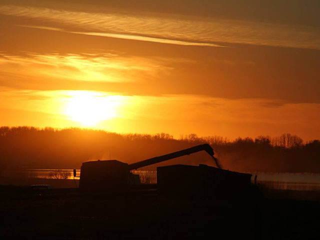 As of Oct. 26, 99% of Saskatchewan&#039;s crop has been harvested. (DTN photo by Elaine Shein)