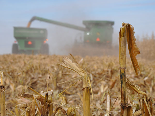Bart and Geoff Ruth expect to finish corn harvest on Thursday, one of the quickest and smoothest harvest seasons in memory. (DTN photo by Katie Micik)