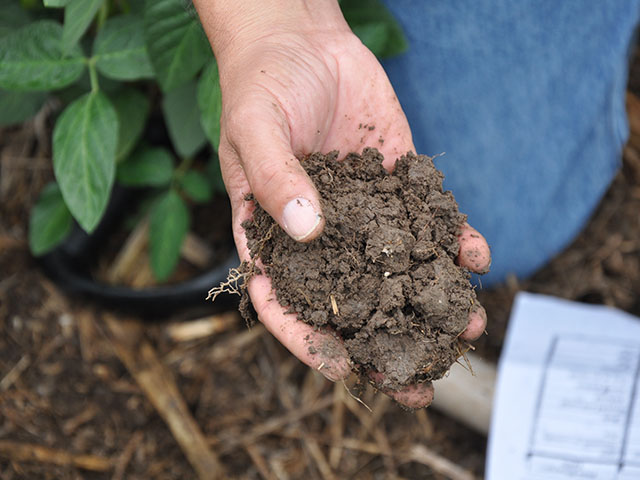 Set some goals for your soil health and follow up by tracking the microbial activity in your fields. (DTN photo by Chris Clayton)