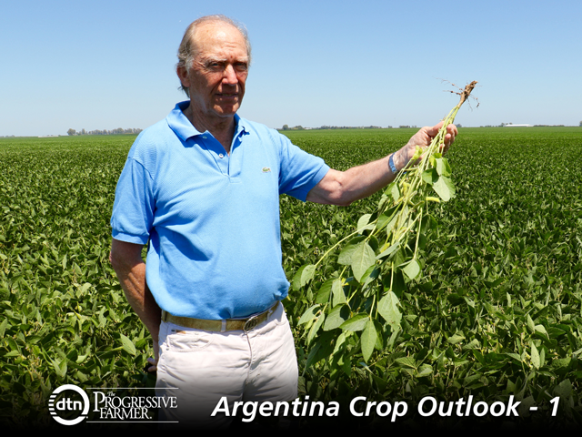 Ignacio Urganga shows some of the dryness in his 7,500 acre farm in southern Santa Fe Province, Argentina. (DTN photo by Alastair Stewart)