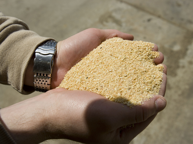 U.S. soybean meal export sales have been phenomenal. They were record large in 2013-14 and are expected to grow another 10.8% in the current marketing year. (Photo courtesy of the United Soybean Board)