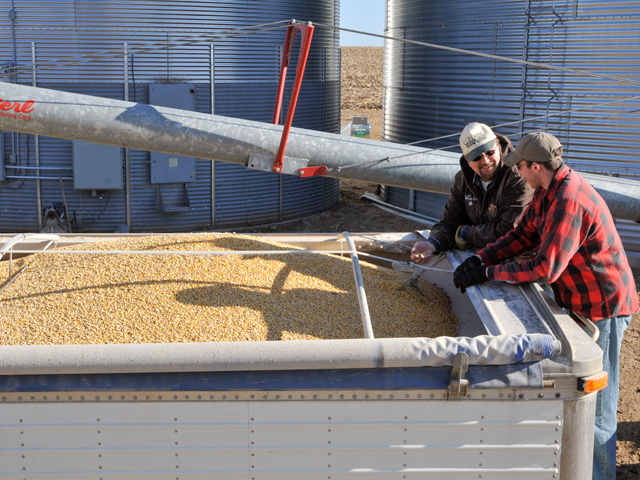 If you are storing corn, what will your exit strategy be? (DTN/The Progressive Farmer file photo)