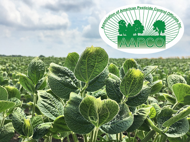 The Association of American Pesticide Control Officials (AAPCO) wants any future registrations of dicamba herbicides to not allow postemergence applications, in the hopes of lowering off-target dicamba injury complaints. (DTN photo by Pamela Smith) 