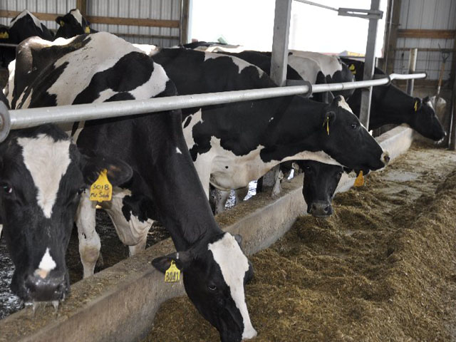 The dairy and brewing industries are joining forces to fight a proposed FDA rule that could prevent the feeding of spent brewers grains to livestock. (DTN file photo by Chris Clayton)