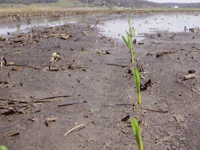 Muddy fields in some areas are keeping planters in the barn. (DTN file photo by Richard Oswald)