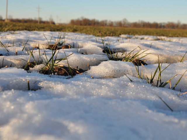 Air temperatures dipped into the single digits across South Dakota early Wednesday morning, and most areas in central South Dakota received from 1 1/2 to 3 inches of snow. Some wheat growers are concerned the frigid temperatures may have damaged their crop. (DTN file photo by Katie Micik)