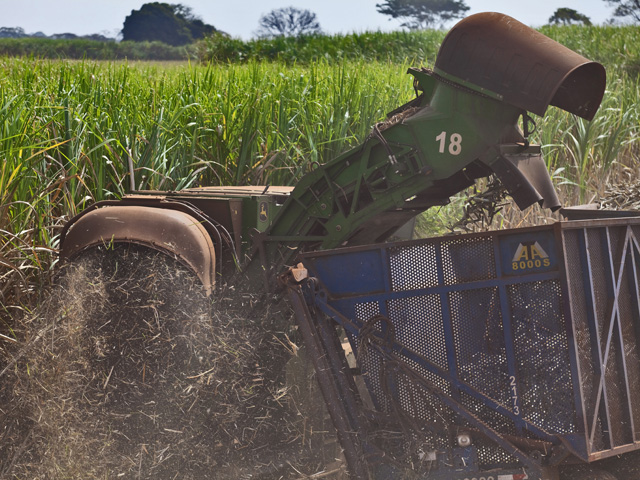 Brazil is a massive ethanol producer -- from sugarcane. (DTN file photo)