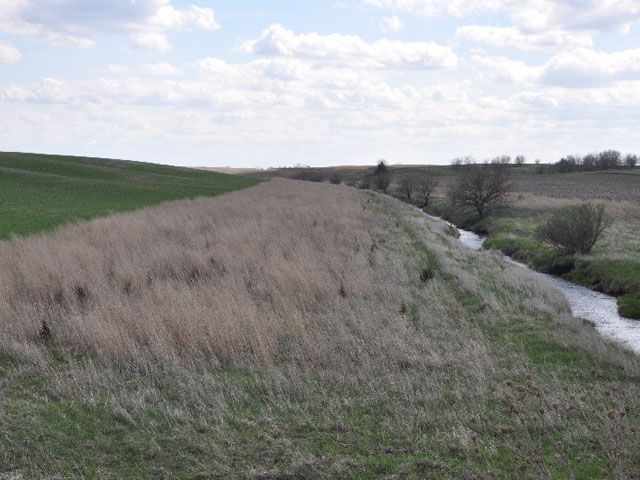 A conservation buffer strip in western Iowa. USDA announced additional funding Tuesday for the Agricultural Conservation Easement Program. (DTN file photo by Chris Clayton)