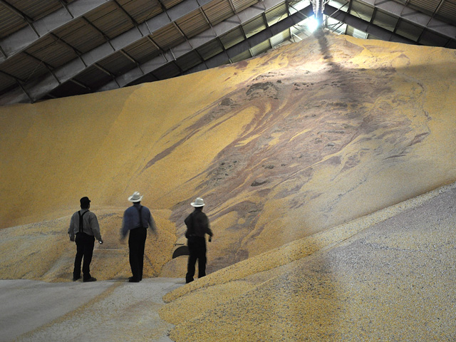 Even though grain storage facilities are usually built from sturdy materials, they are no match for the power of a grain dust explosion, according to Brandi Miller, KSU Department of Grain Science and Industry distance education coordinator. (DTN file photo by Katie Micik)