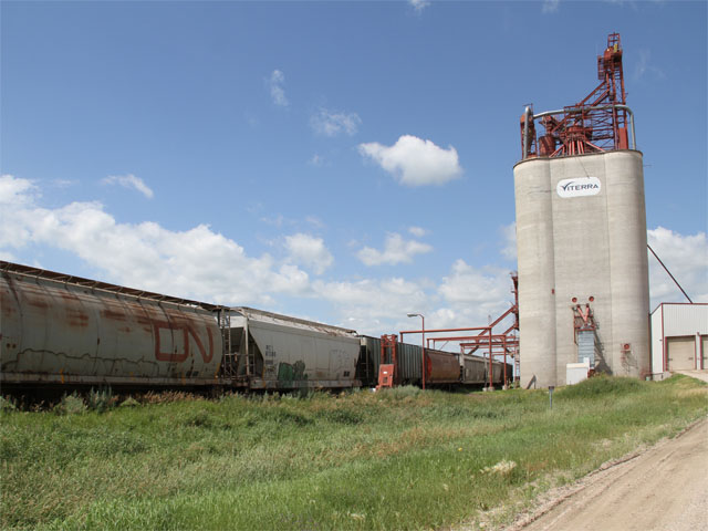 The depressed cash values for grain because of the mess regarding moving grain by rail has cost Western Canadian farmers millions of dollars. (DTN photo by Elaine Shein)