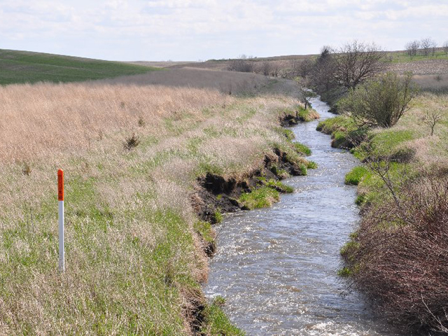 Minnesota Gov. Mark Dayton vetoed a bill that would have required buffer zones along waterways across the state. (DTN file photo by Chris Clayton)