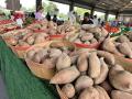 An open-air farmers market in North Carolina. A new World Bank report looks at sustainable production of food and climate change. A pair of upcoming webinars also look at conservation in the farm bill and lowering greenhouse gas emissions. (DTN file photo by Chris Clayton) 