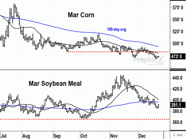 Following news of the rail closures into Mexico on Dec. 18, March corn futures fell to a new 2023 low and lost a dime on the week. March soybean meal also was down on the week but shows more signs of support for its limited supplies. (DTN ProphetX chart).
